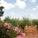 Castellinaria Bed & Breakfast